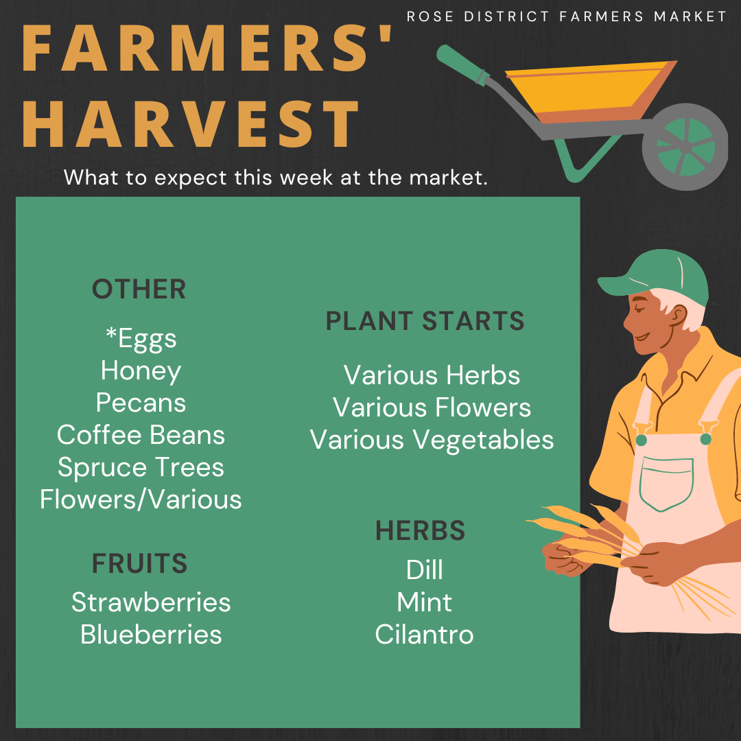 FHB