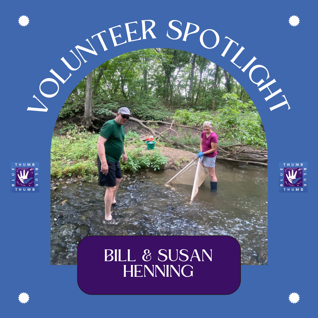 Bill and Susan Vol Spotlight