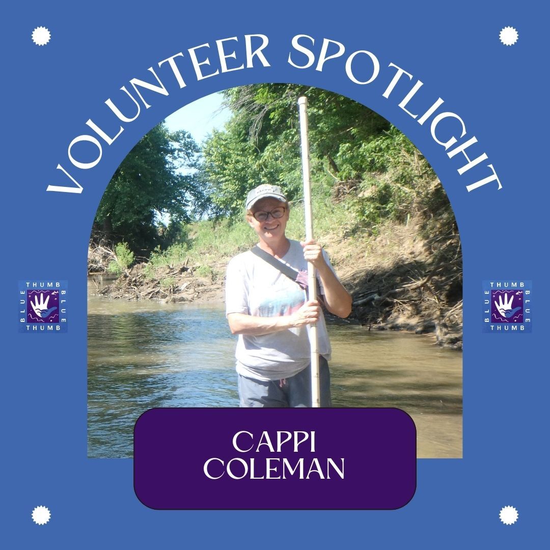 Volunteer Spotlight March 2025