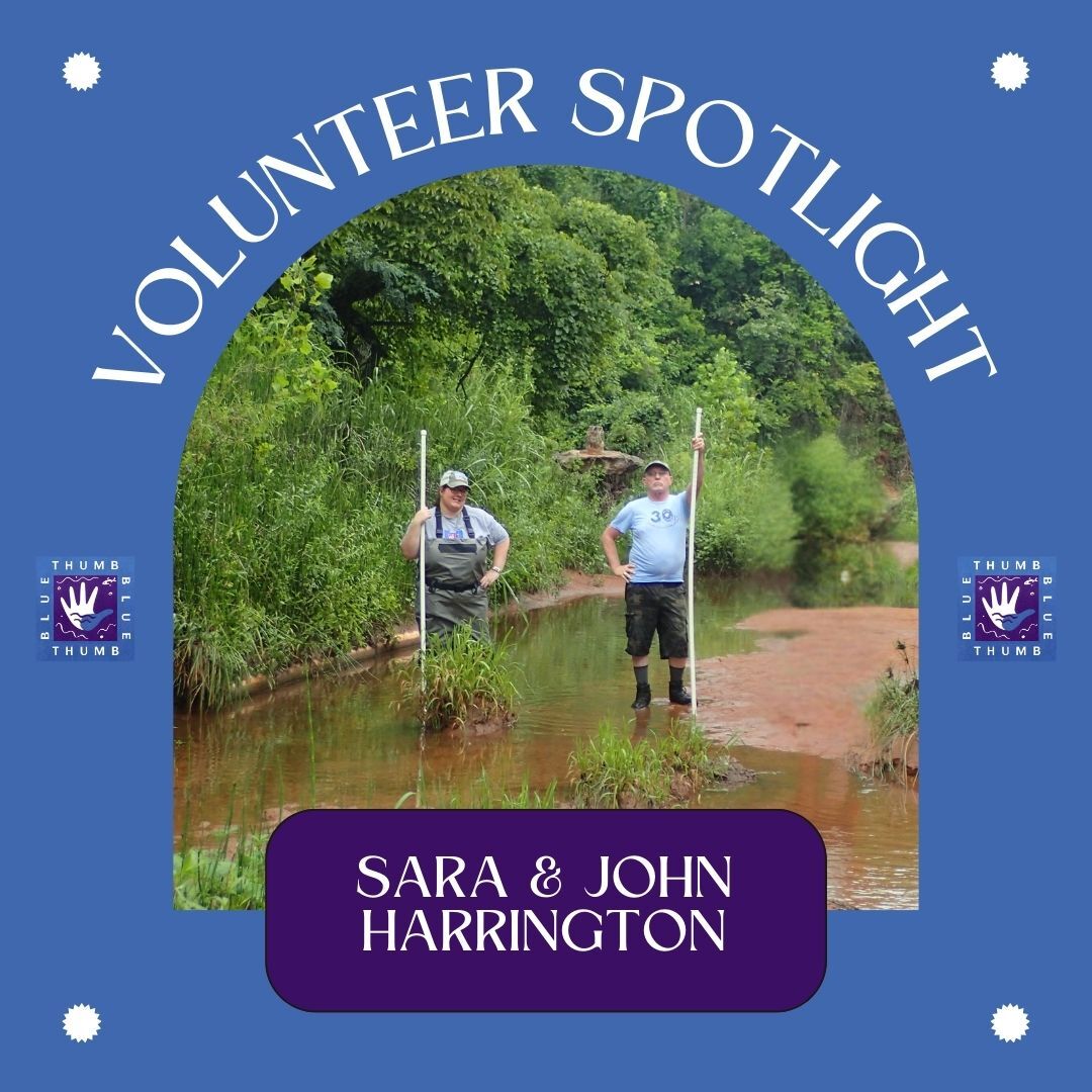 Volunteer Spotlight May 2025