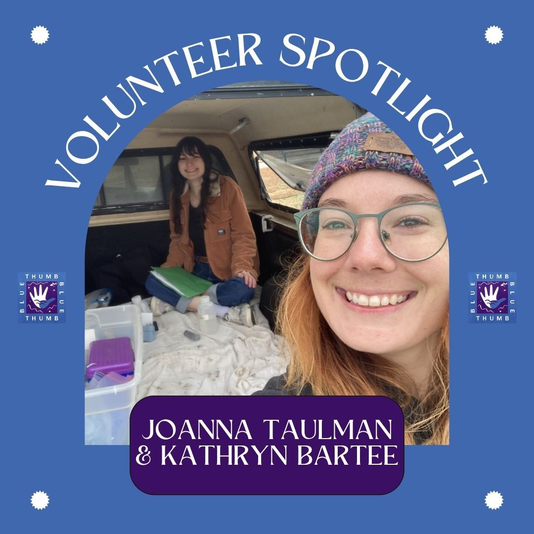 July 2025 Vol Spotlight