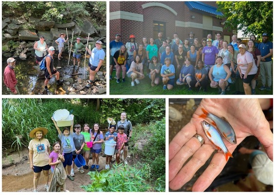 Aug 2025 BT Photo Collage