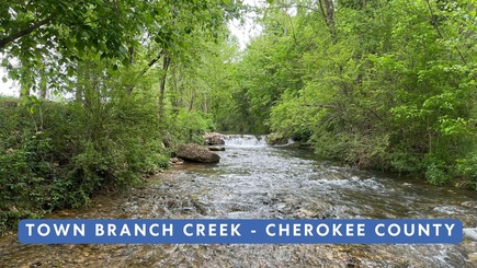 town branch