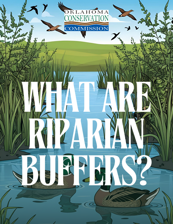 A digital photo of a riparian buffer with text "What are Riparian Buffers?"