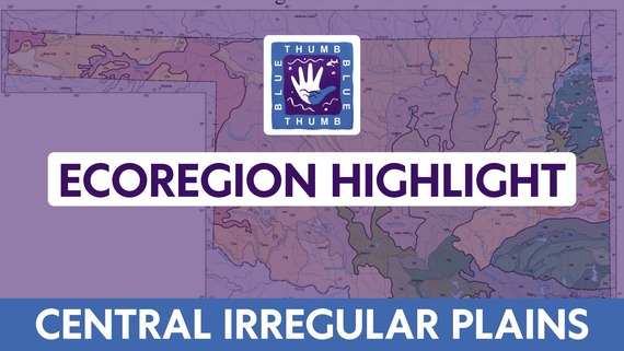 ecoregion hilight cip
