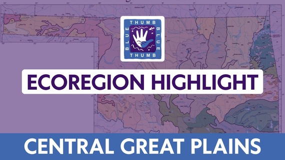 central great plains
