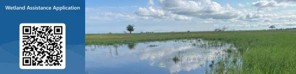wetlands cost share