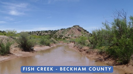 fish creek