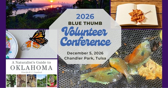 26 vol conf