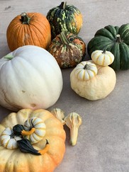 pumpkins