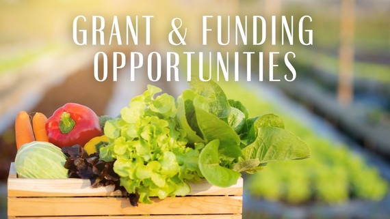 Gant Opportunities