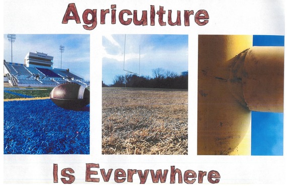 OVERALL PHOTOGRAPHY WINNER