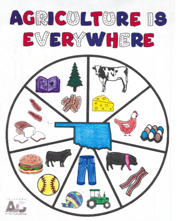 EARLY CHILDHOOD WINNER