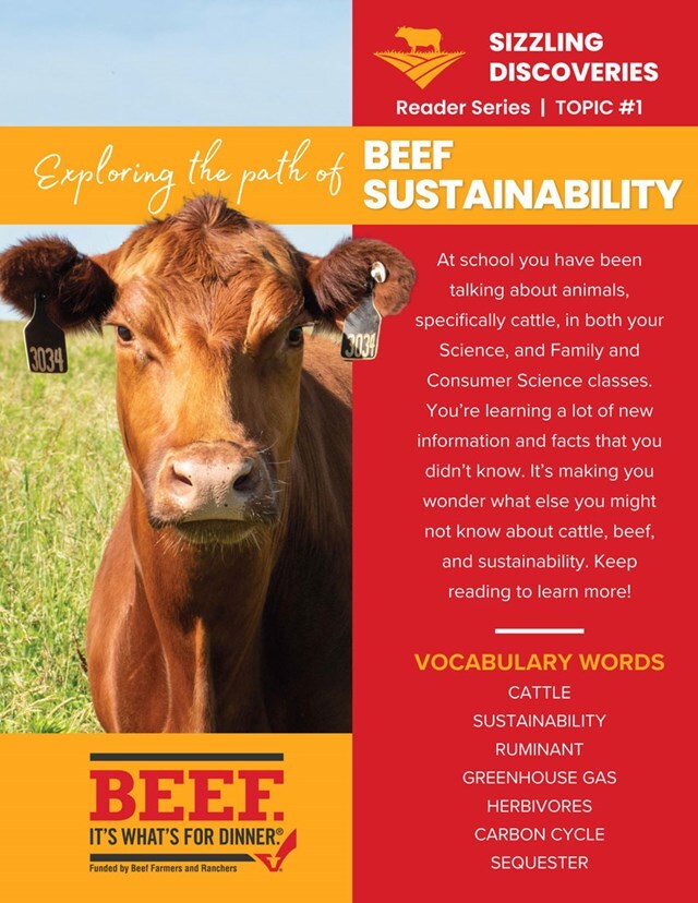 Beef resources