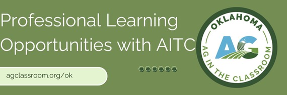 Professional Learning