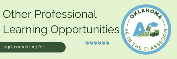 Other professional learning