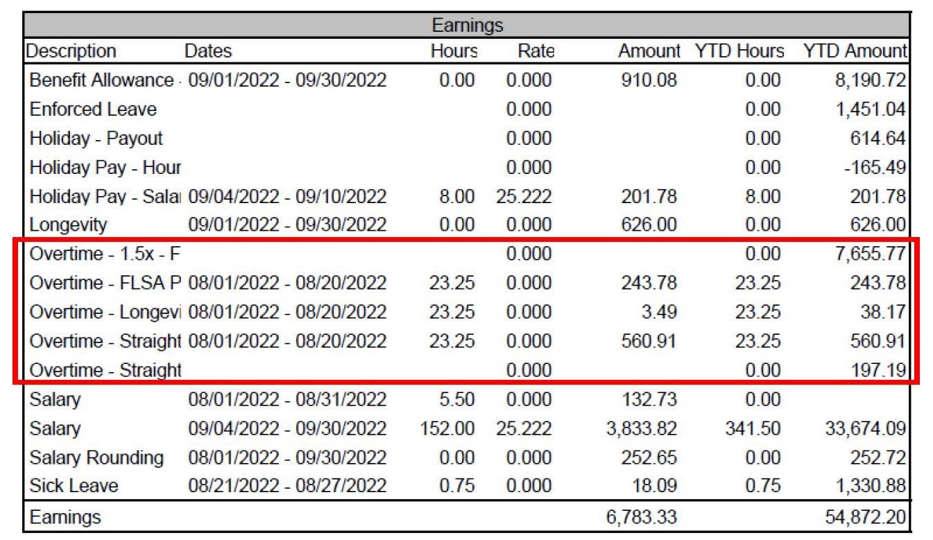 Payslips