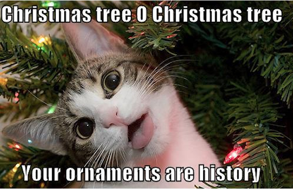 Cat with crazy look and words " Christmas tree, O Christmas tree, your ornaments are history."