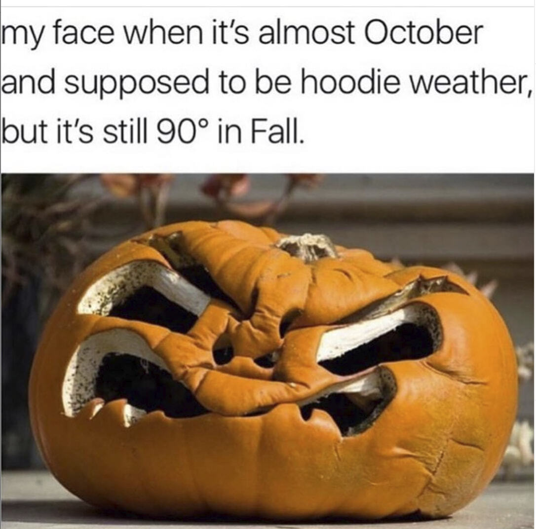 Rotting pumpkin with words "My face when it’s almost October and supposed to be hoodie weather. But it’s still 90 degrees in the fall."