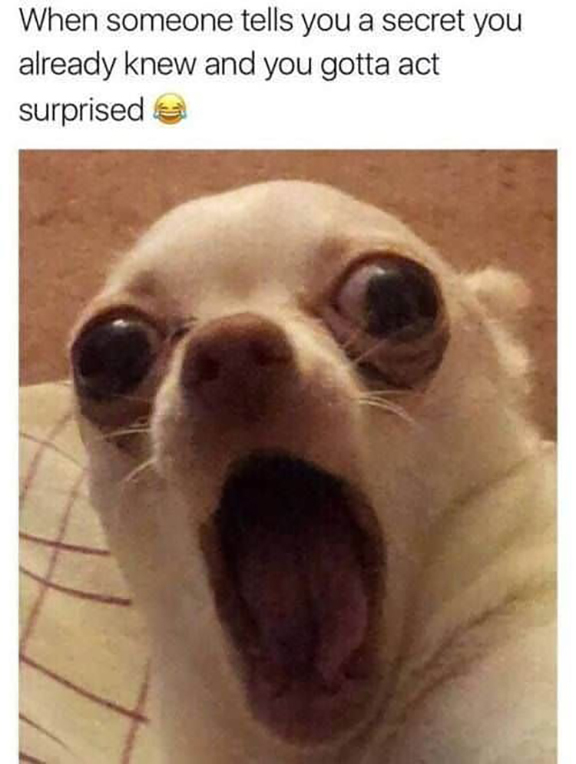Dog looking wowed with words "When someone tells you a secret you already knew and you gotta act surprised." laughing and crying face.