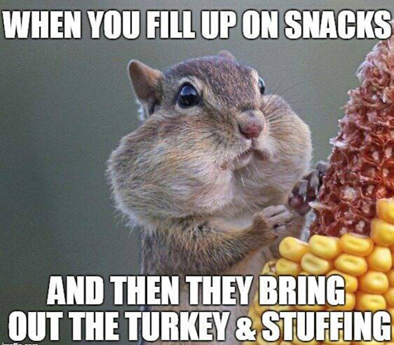 Squirrel with cheeks full eating corn with words, "I filled up on snacks and then they brought out the turkey and dressing."