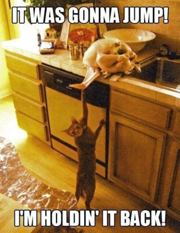 Cat reaching up to try and grab turkey off counter with words "It was gonna jump! I'm holding it back!"
