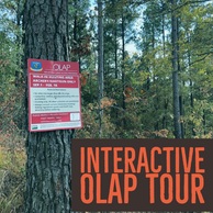 Interactive OLAP Tour