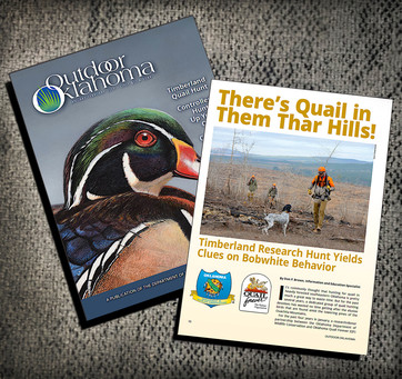 ODO cover timberland