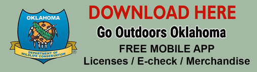 Go Outdoors download app