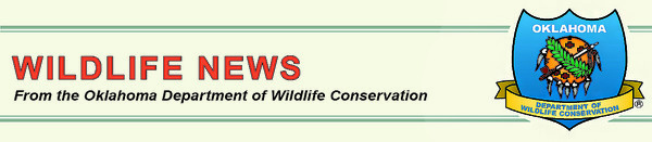 wildlife news banner