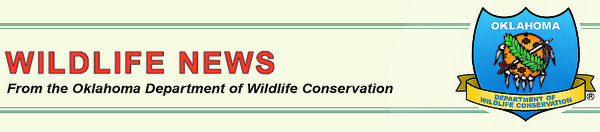 wildlife news banner