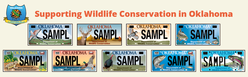 Lipless Crankbaits  Oklahoma Department of Wildlife Conservation