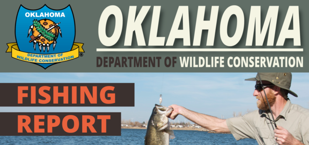 Blade Baits  Oklahoma Department of Wildlife Conservation