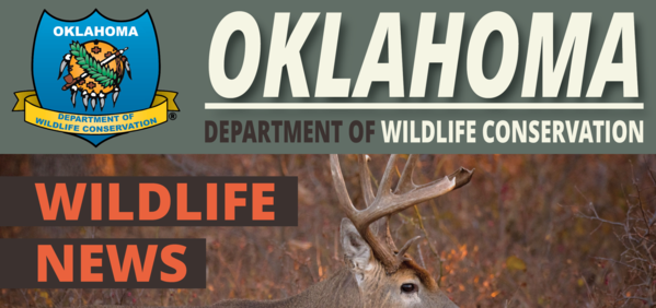 Oklahoma Department of Wildlife Conservation  Oklahoma Department of  Wildlife Conservation