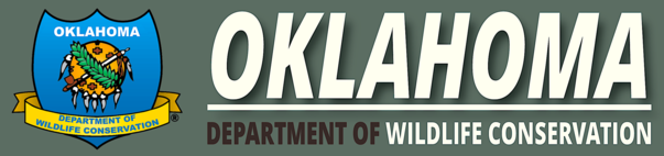 general release banner