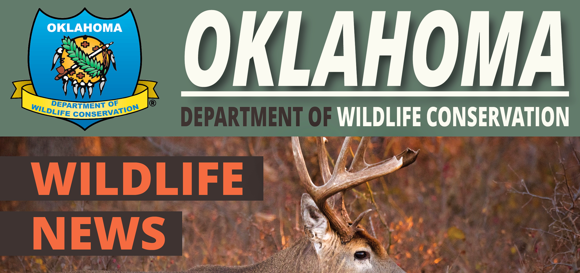 2021 Rut Report: Deer Moving as Gun Hunting Season Just Days Away