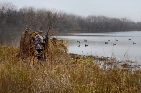 waterfowl roundup