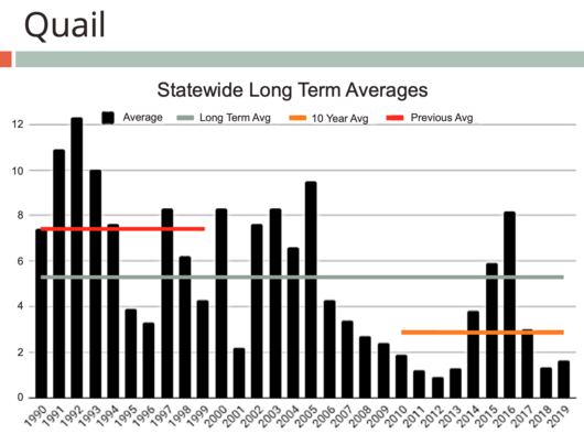 2019 quail survey statewide graph