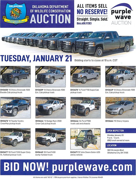 auction flyer jan 2020