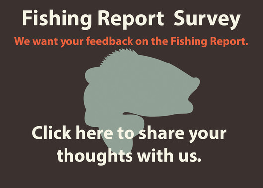 Fishing Report Survey