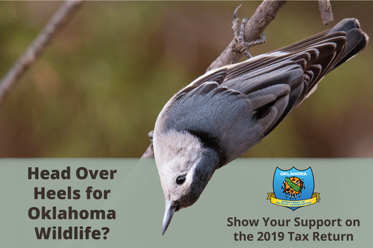 Tax Refund Donation_Final 2020