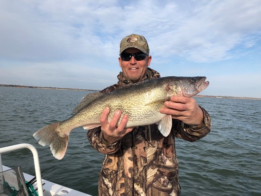 Facebook Walleye