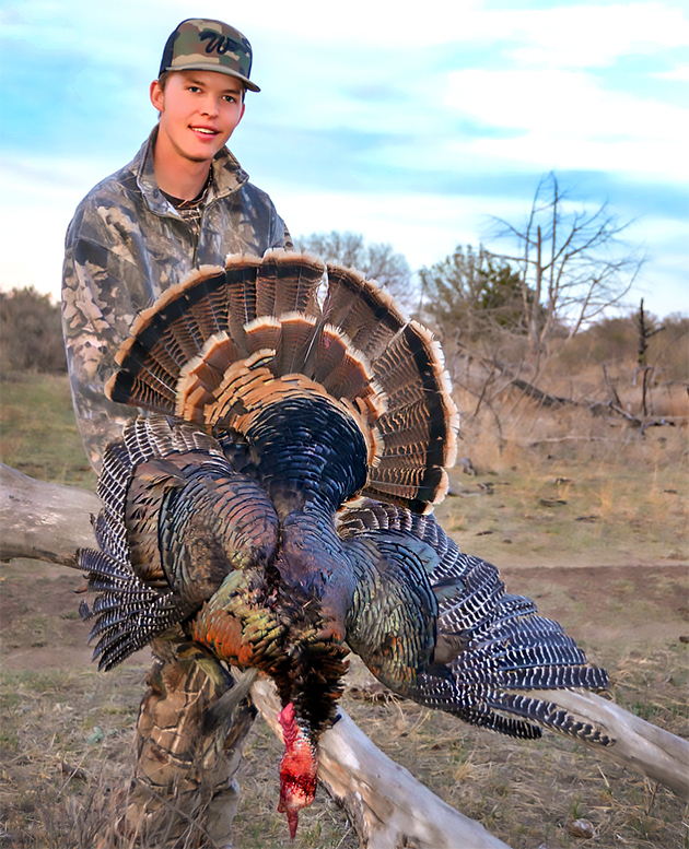 News Spring Turkey Hunting Is Chance to Enjoy Wide Open Outdoors