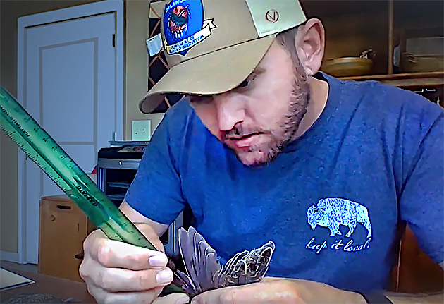 Tell Judkins UU wings