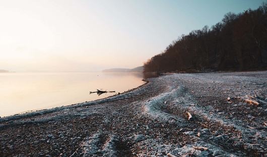 Winter Threadfin Shad