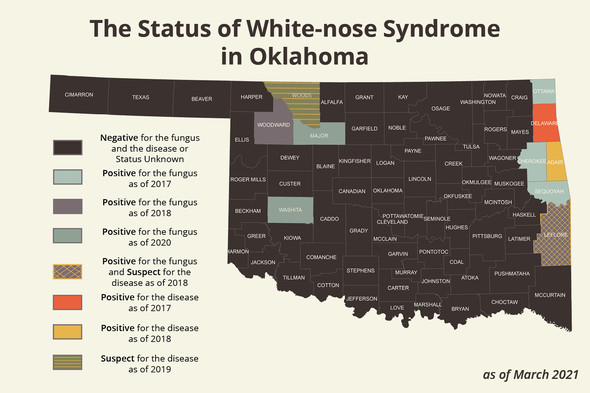 2021 WNS in Oklahoma