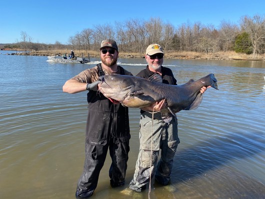Blue Cat Robert S Kerr