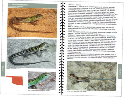 Herp Book Preview