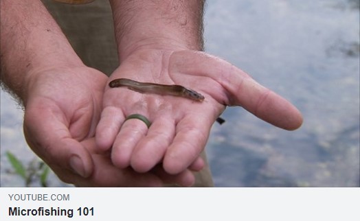 Micro Fishing