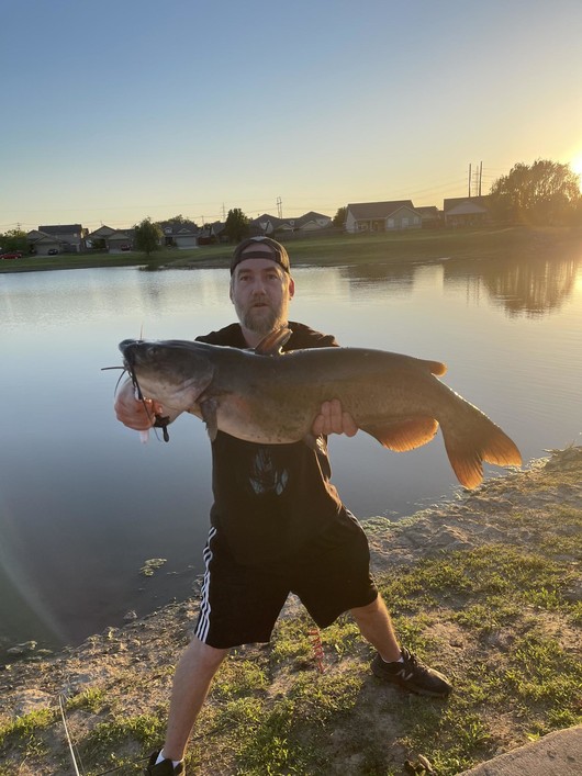 Joshua's catfish